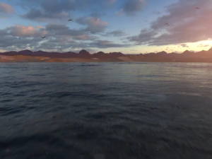 Desert Ocean Landscape 3D Model