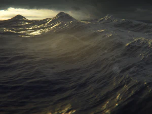 समुद्री तूफ़ान 3D मॉडल