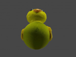 Little fluffy duck Modelo 3D
