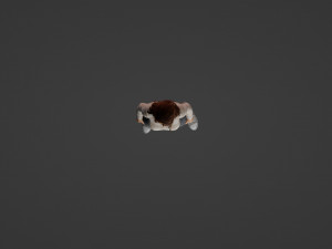 Cute girl 3Dモデル
