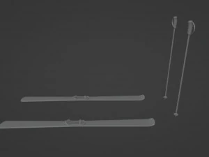 Skis and sticks 3D Model