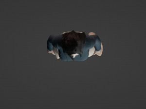 Nice girl with black hair 3D Model