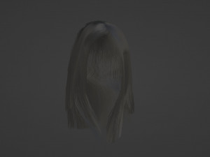 Gray womens hair 3D-Modell