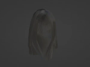 Gray womens hair 3D Model