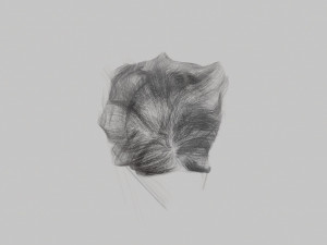 Gray womens hair 3D-Modell