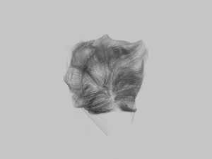 Gray womens hair 3D Model