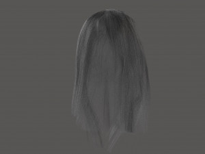 Gray womens hair 3D-Modell