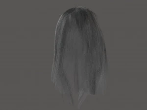 Gray womens hair 3D Model