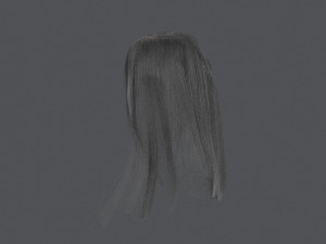 Gray womens hair 3D-Modell