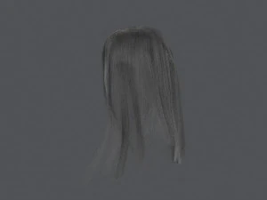 Gray womens hair 3D Model