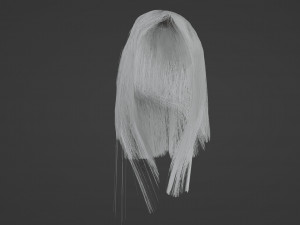 Gray womens hair 3D-Modell