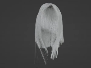 Gray womens hair 3D Model