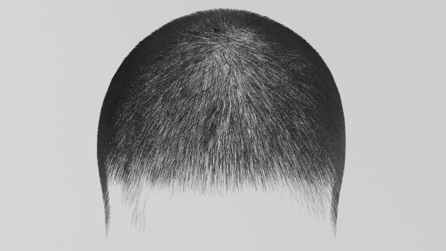 Mens dark gray short hair 3D Model .c4d .max .obj .3ds .fbx .stl .blend 
