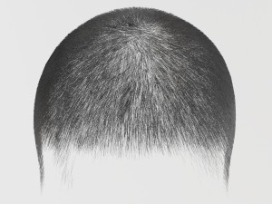Mens dark gray short hair 3D Model