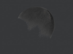 Mens dark gray short hair 3D Model