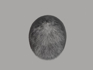 Mens dark gray short hair 3D Model