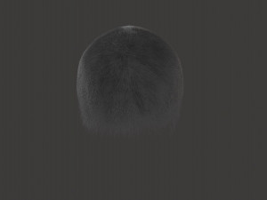 Mens dark gray short hair 3D Model