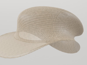 Mesh cap concept 3D Model
