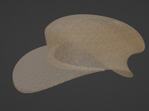 Mesh cap concept Modello 3D