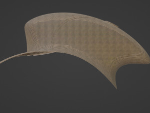 Mesh cap concept Modello 3D