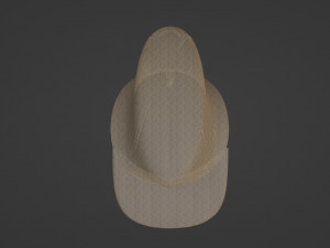 Mesh cap concept Modello 3D