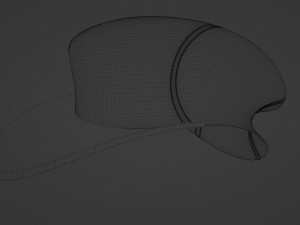 Mesh cap concept Modello 3D