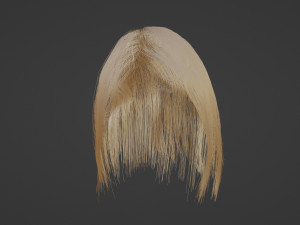 Blonde hair Model 3D