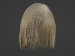 Blonde hair Model 3D