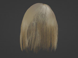 Blonde hair 3D Model