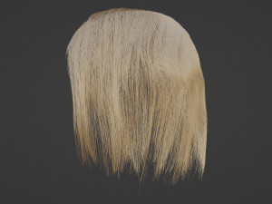 Blonde hair Model 3D