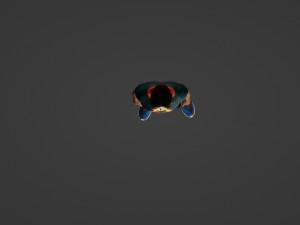 Sports man in summer clothes 3D Model