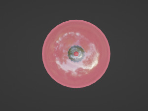 Muffin under a glass lid Model 3D
