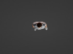 Male model in summer clothes 3D Модель