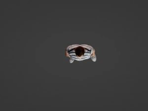 Male model in summer clothes 3D Model