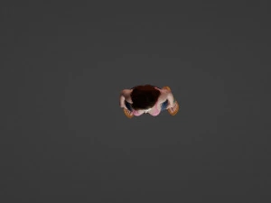 Realistic model in a swimsuit 3D Model