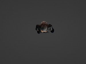Biker woman in black Model 3D