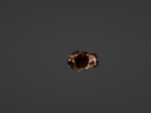 Average medieval woman 3D Модель