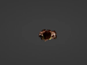 Average medieval woman 3D Model