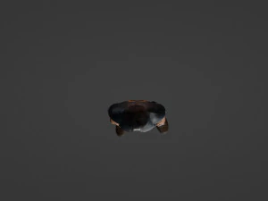 Middle aged man 3D Model