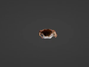 Young beautiful model 3D Model