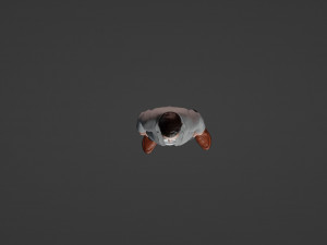 Realistic of a Smiling Youth in Casual Attire 3D Model