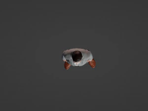 Realistic of a Smiling Youth in Casual Attire 3D Model