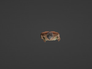 Realistic of a Sick Man 3D 모델