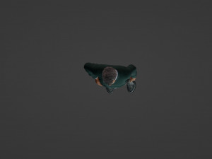 Serene Sage Oriental Elegance 3D Model