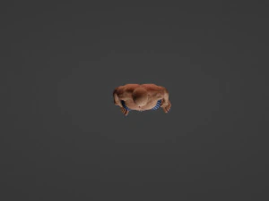 현실적인 노인 3D 모델