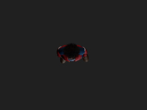 CitySlicker StylePro Modello 3D