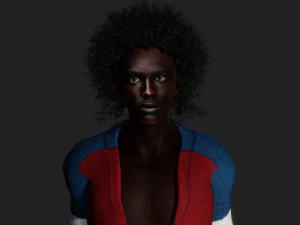 CitySlicker StylePro Modelo 3D