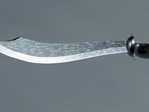 Shiny Silver Pirate Cutlass 3D Model