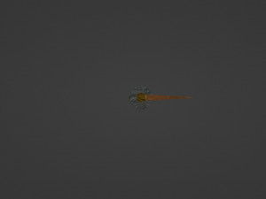 An axe with a green sheathed handle 3D Model