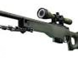AWP 3D Model